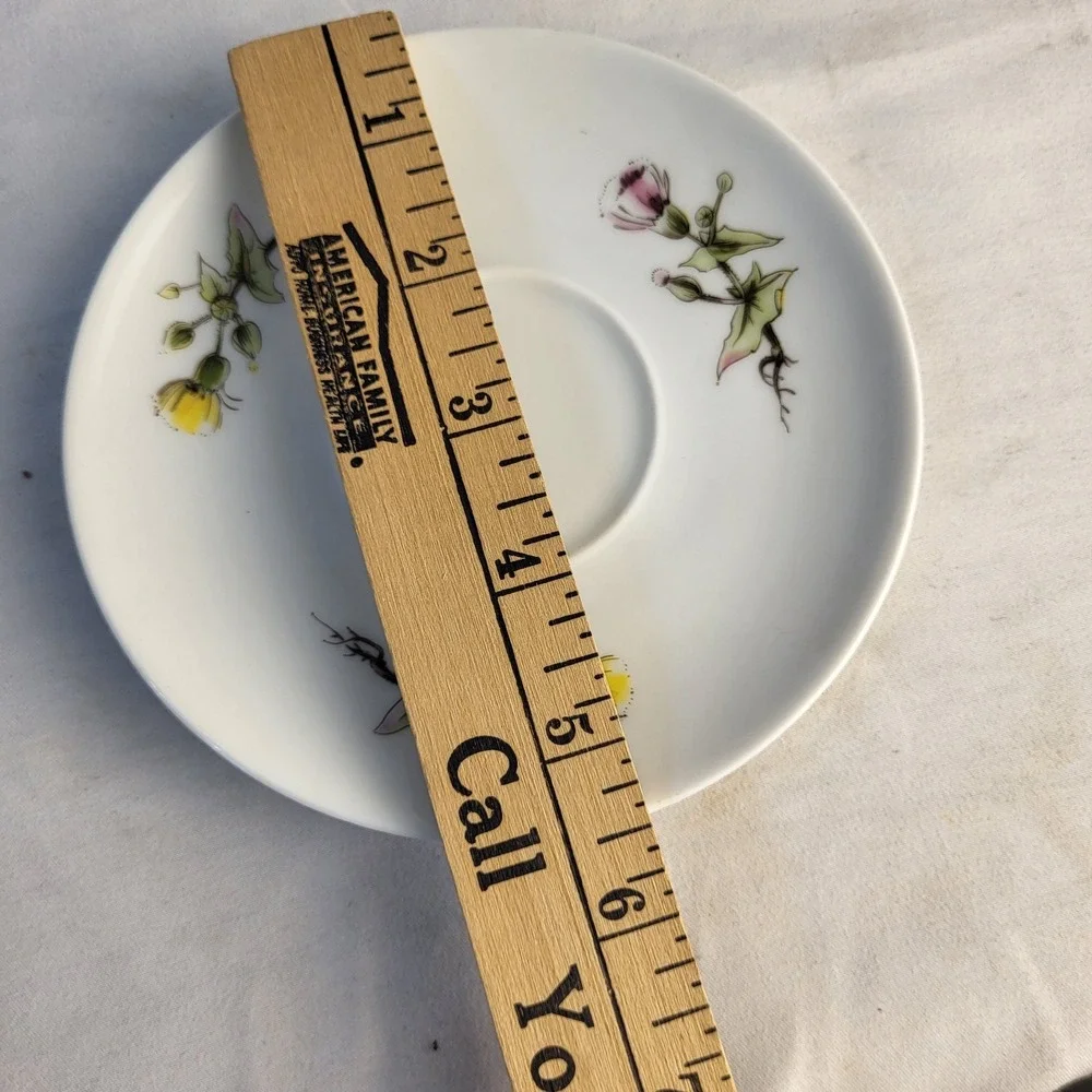 Winterling porcelain demitasse
